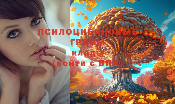 каннабис Аркадак