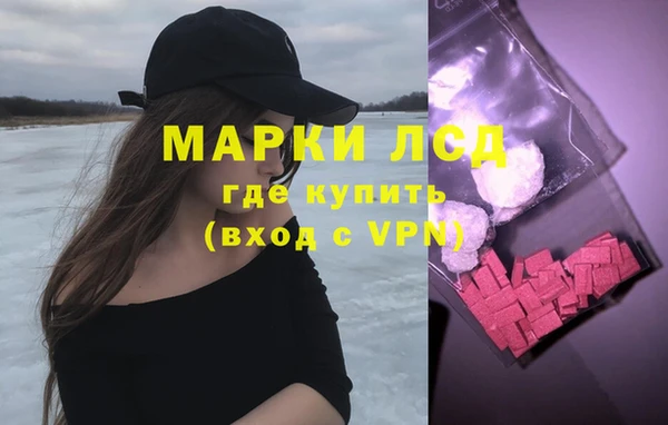 ГАЛЛЮЦИНОГЕННЫЕ ГРИБЫ Арсеньев