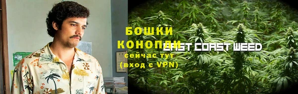 ГАЛЛЮЦИНОГЕННЫЕ ГРИБЫ Арсеньев