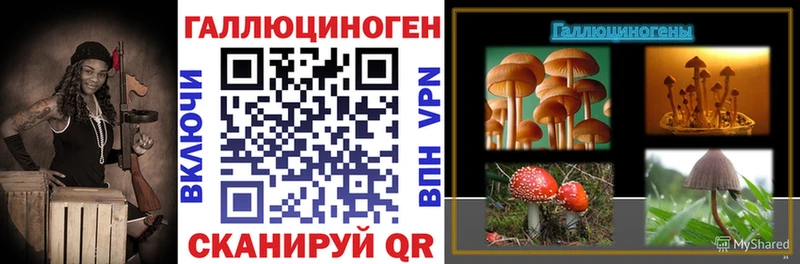 нарко площадка телеграм  Камбарка  Галлюциногенные грибы мицелий 